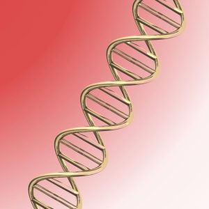 strategically aligned